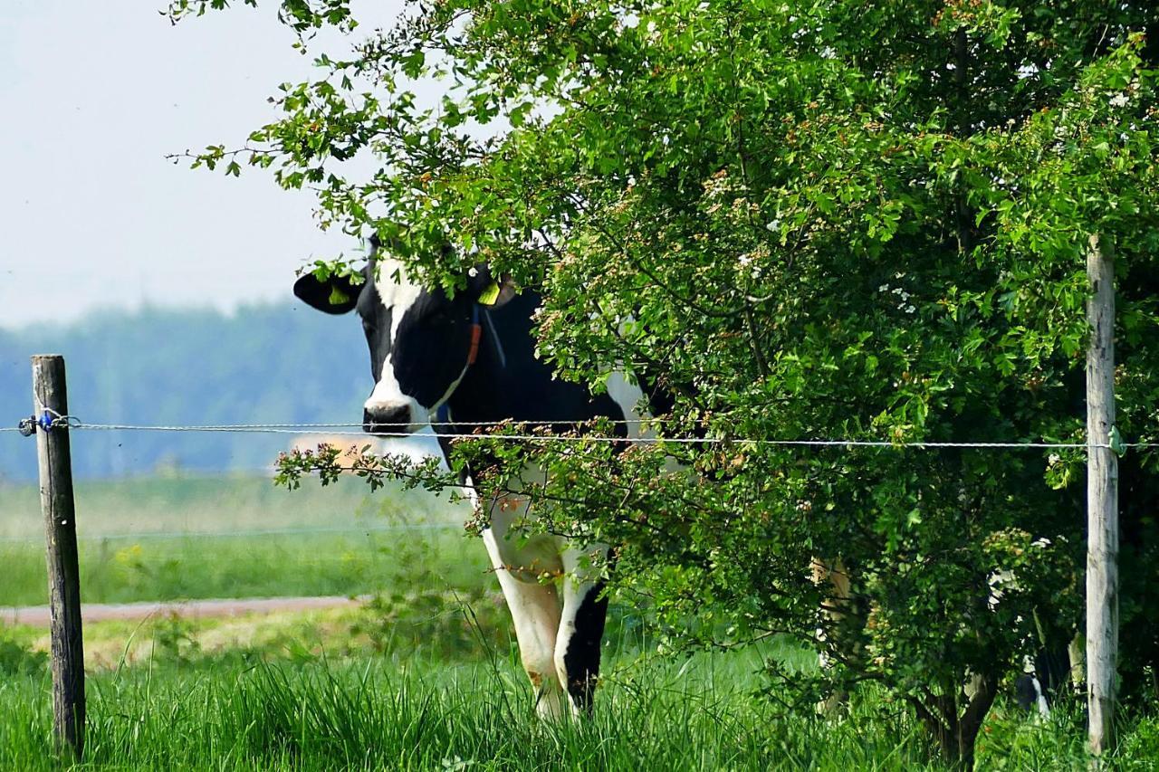 Rossum Boerderij Zonneveld别墅 外观 照片